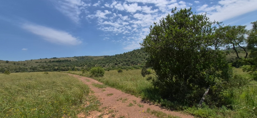 11 Bedroom Property for Sale in Groot Marico North West